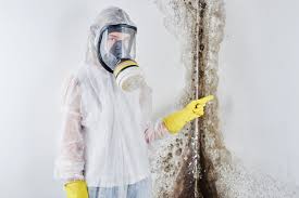 Mold Removal for HVAC Installations in Irrigon, OR